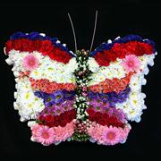 Butterfly Funeral Tribute 