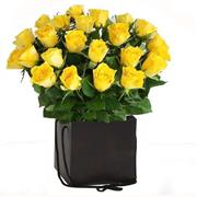 Classic Simply 24  Yellow Roses 