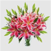 Simply Pink Oriental Lilies 