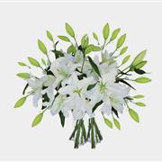 Simply White Oriental  Lilies 