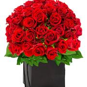 Large Heavenly 50 Red Rose Hand-tied