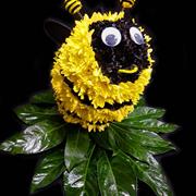 Bummble Bee Tribute 