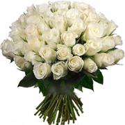 48 Pure White Roses Hand-tied 