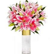 Pink Elegant Lilly Vase 