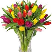 Mixed Vibrant Tulip Vase 