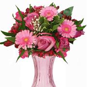 Pink &amp; Burgundy Gift Vase 
