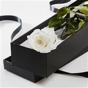 White Single Rose Gift Box 