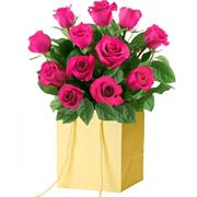 Simply Classic Hot Pink Roses 