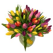 Mixed Vibrant Tulip Vase Plus 
