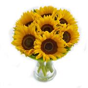 Sun Flower Gift Vase Plus 