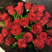 Dramatic 30 Luxury Red Roses 