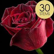 Red 30 Roses 