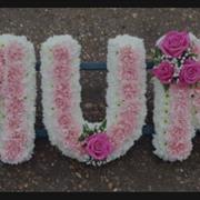 MUM Pink Carnations 