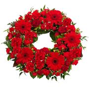 Red Gerbera Wreath 