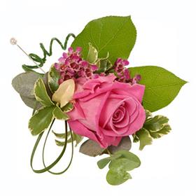 fwthumbweddings-pink-roses-buttonhole-lg.jpg
