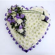 Purple Heart Tribute 