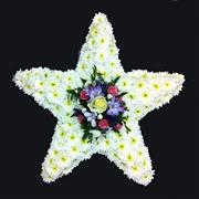 Star Tribute