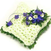 Blue &amp; White Cushion 