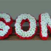 SON Letters 