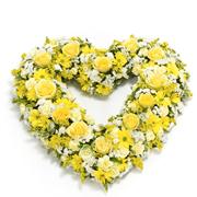 Yellow &amp; White Open Heart 