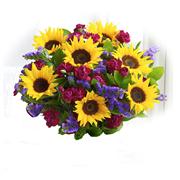 Mini Sunflower Classic Posy 