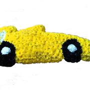 Sports Car Tribute 