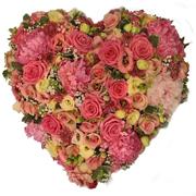 Peach &amp; Pink Solid Heart 