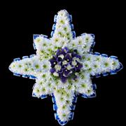 Northern Star Tribute