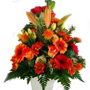 Autumn Sunset Chic Arrangement Plus 