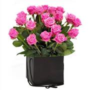 Simply 24 Pink Roses Hand-tied 