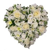 Pure White Heart 