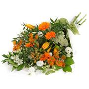 Orange &amp; White Spray 