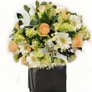 Peaches &amp; Cream Hand-tied 