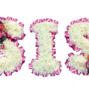 SIS Tribute 