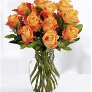 Simply Orange Roses