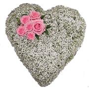 Gyp Heart 