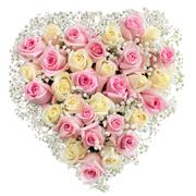 Ivory &amp; Pink Rose Heart