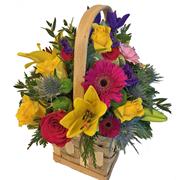 Vibrant Lattice Basket 