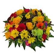 Vibrant Posy 