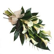 Luxury Calla Lily Spray 