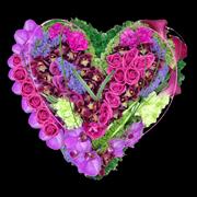 Exotic Contemporary Heart 