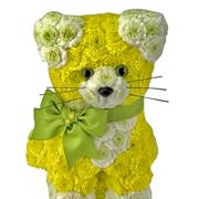 Cat Tribute 