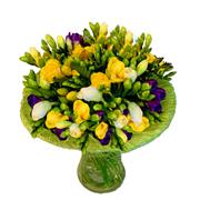 Vibrant Freesia Gift  Vase 