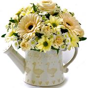 Cream &amp; Peach  New Baby Watering Can 