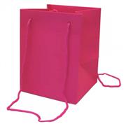 Cerise Gift  Bag