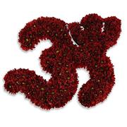 Red AUM Tribute 