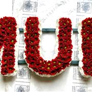 Red and White MUM 