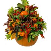 Fresh Pumpkin Halloween Arrangement Plus