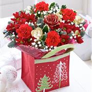 Red Sparkle Festive Gift Bag