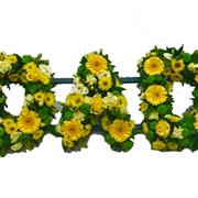 DAD Yellow &amp; Green 